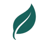 Logo Dora Health